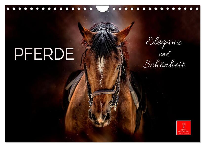 Eleganz und Schönheit - Pferde (Wandkalender 2026 DIN A4 quer) CALVENDO Monatskalender