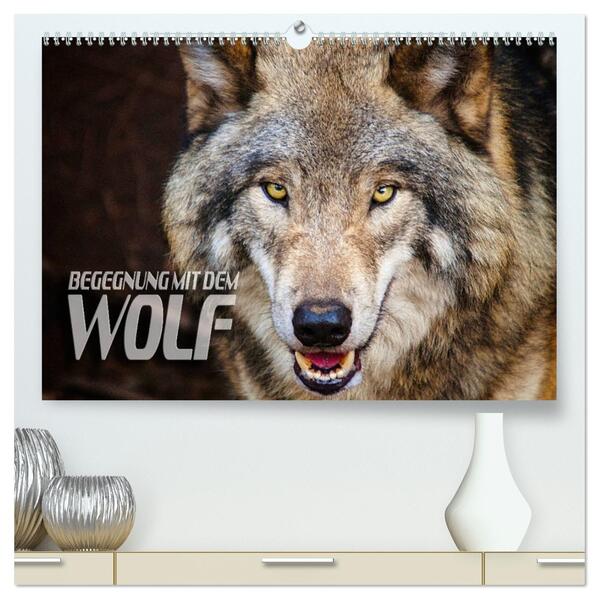 Begegnung mit dem Wolf (hochwertiger Premium Wandkalender 2026 DIN A2 quer) Kunstdruck in Hochglanz