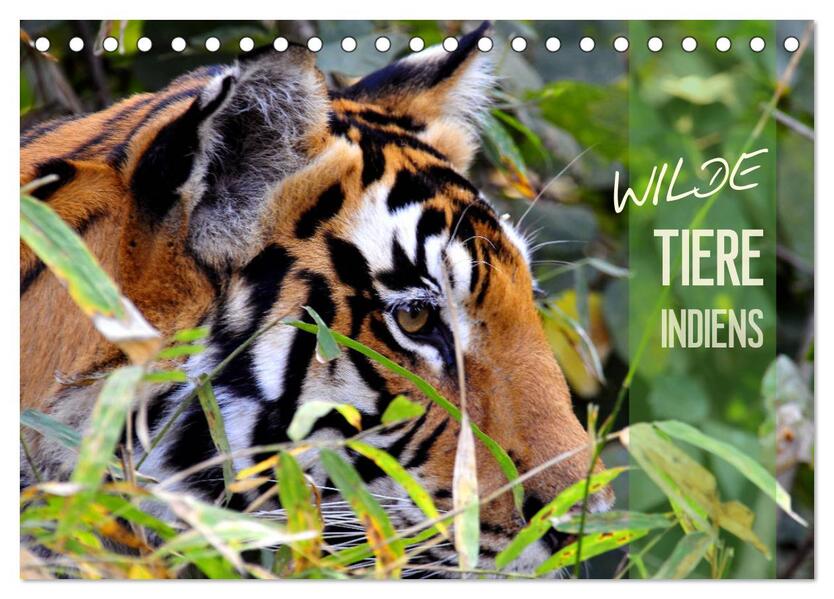 Wilde Tiere Indiens (Tischkalender 2026 DIN A5 quer) CALVENDO Monatskalender