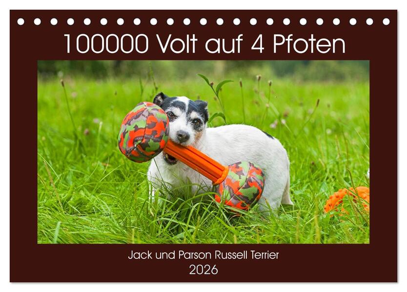 100000 Volt auf vier Pfoten - Jack und Parson Russell Terrier (Tischkalender 2026 DIN A5 quer) CALVENDO Monatskalender