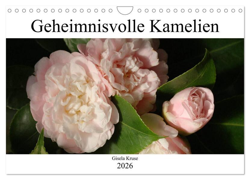 Geheimnisvolle Kamelien (Wandkalender 2026 DIN A4 quer) CALVENDO Monatskalender