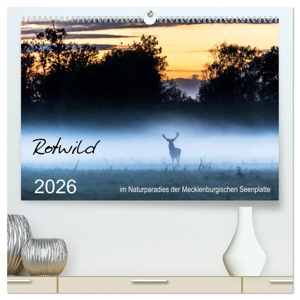 Rotwild - im Naturparadies der Mecklenburgischen Seenplatte (hochwertiger Premium Wandkalender 2026 DIN A2 quer) Kunstdruck in Hochglanz