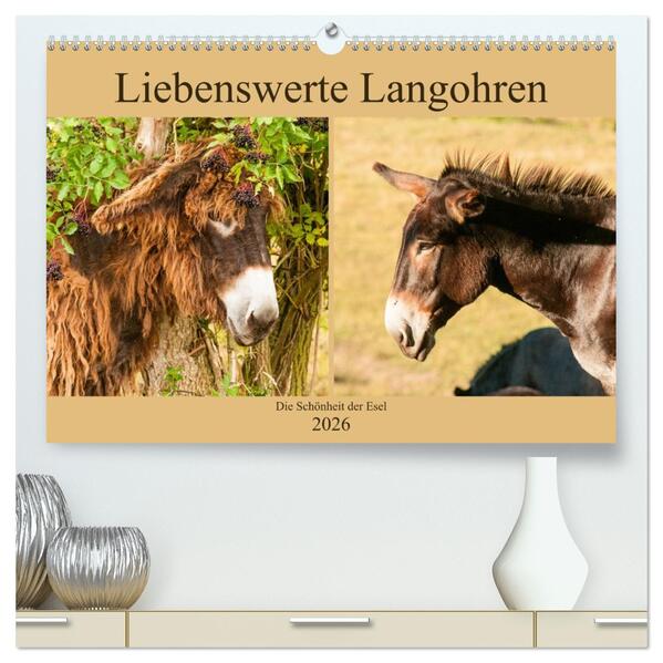 Liebenswerte Langohren - Die Schönheit der Esel (hochwertiger Premium Wandkalender 2026 DIN A2 quer) Kunstdruck in Hochglanz