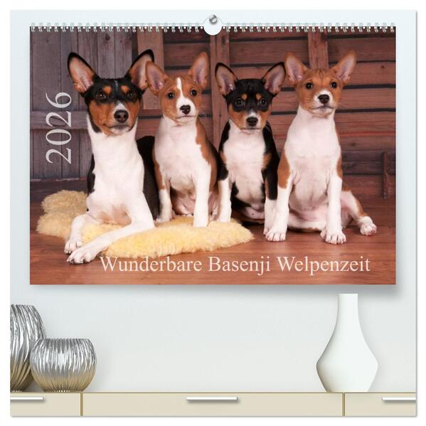 Wunderbare Basenji Welpenzeit (hochwertiger Premium Wandkalender 2026 DIN A2 quer) Kunstdruck in Hochglanz