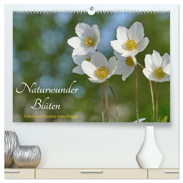 Naturwunder Blüten (hochwertiger Premium Wandkalender 2026 DIN A2 quer) Kunstdruck in Hochglanz