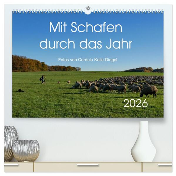 Mit Schafen durch das Jahr (hochwertiger Premium Wandkalender 2026 DIN A2 quer) Kunstdruck in Hochglanz