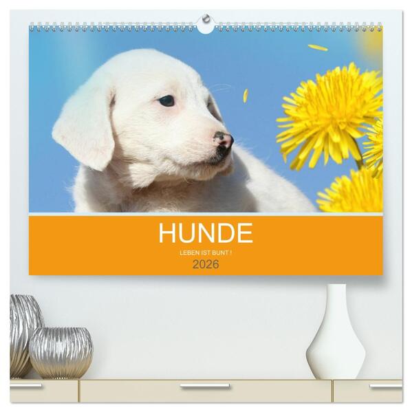 HUNDE LEBEN IST BUNT (hochwertiger Premium Wandkalender 2026 DIN A2 quer) Kunstdruck in Hochglanz