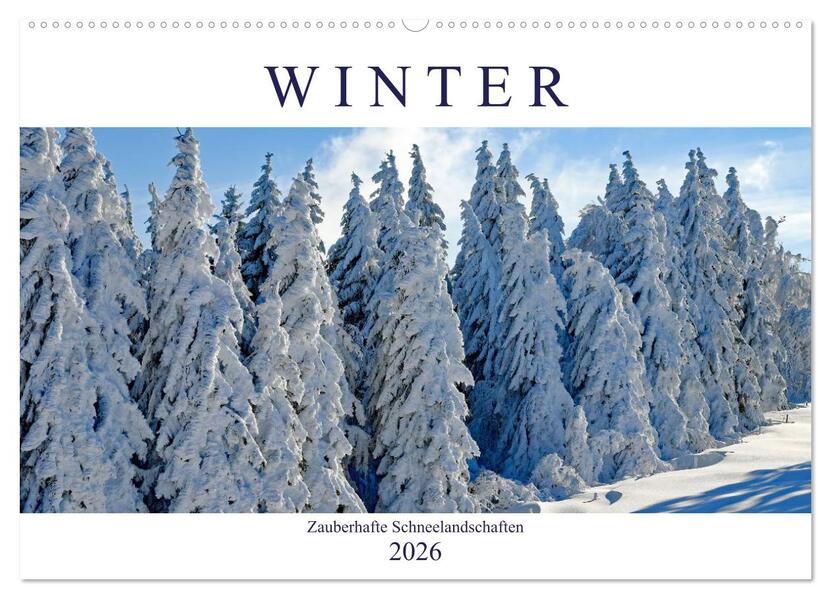 Winter. Zauberhafte Schneelandschaften (Wandkalender 2026 DIN A2 quer) CALVENDO Monatskalender