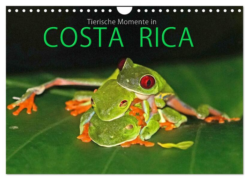 COSTA RICA - Tierische Momente (Wandkalender 2026 DIN A4 quer) CALVENDO Monatskalender