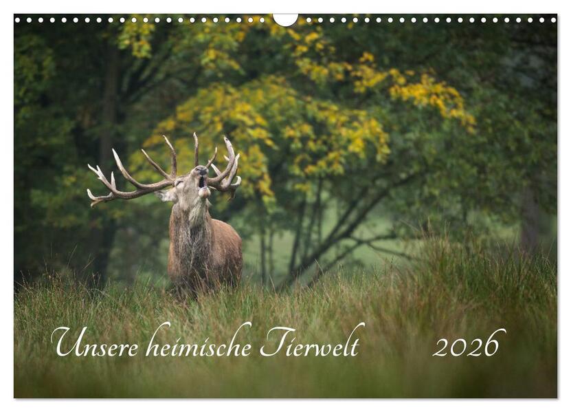 Unsere heimische Tierwelt (Wandkalender 2026 DIN A3 quer) CALVENDO Monatskalender