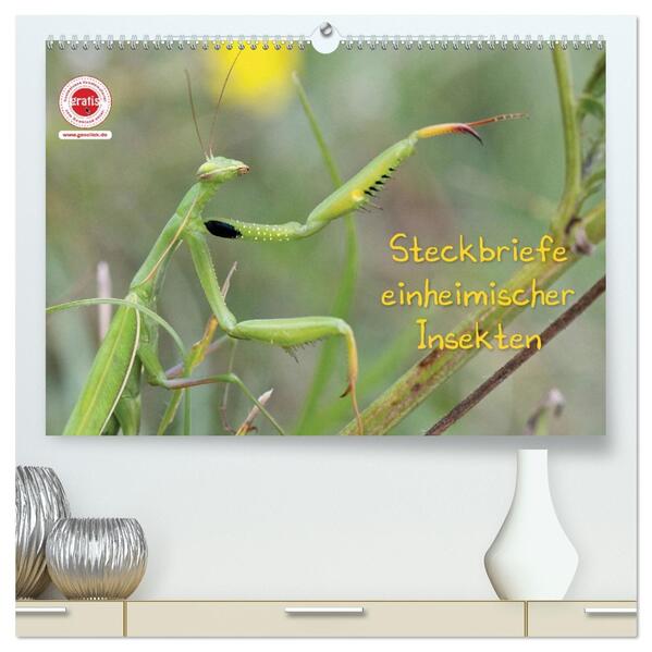 GEOclick Lernkalender: Insekten (hochwertiger Premium Wandkalender 2026 DIN A2 quer) Kunstdruck in Hochglanz
