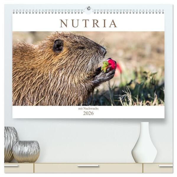 NUTRIA mit Nachwuchs (hochwertiger Premium Wandkalender 2026 DIN A2 quer) Kunstdruck in Hochglanz