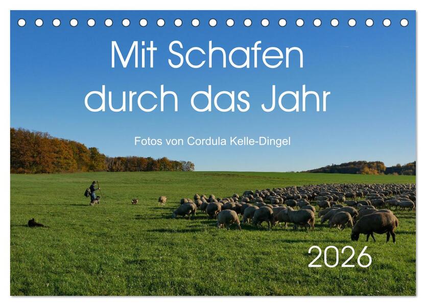 Mit Schafen durch das Jahr (Tischkalender 2026 DIN A5 quer) CALVENDO Monatskalender