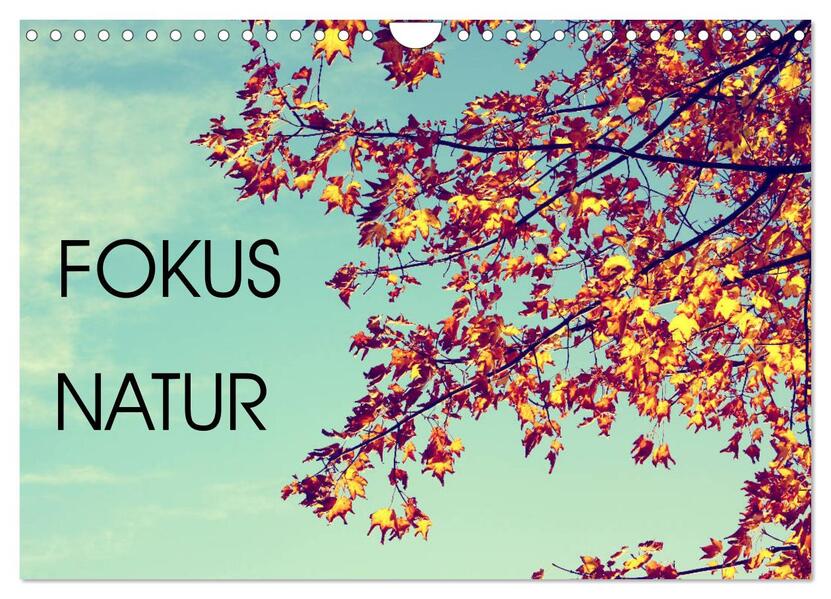Focus Natur (Wandkalender 2026 DIN A4 quer) CALVENDO Monatskalender