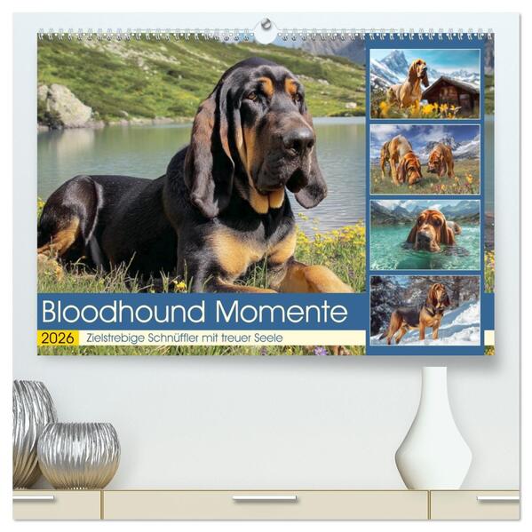 Bloodhound Momente. Zielstrebige Schnüffler mit treuer Seele (hochwertiger Premium Wandkalender 2026 DIN A2 quer) Kunstdruck in Hochglanz