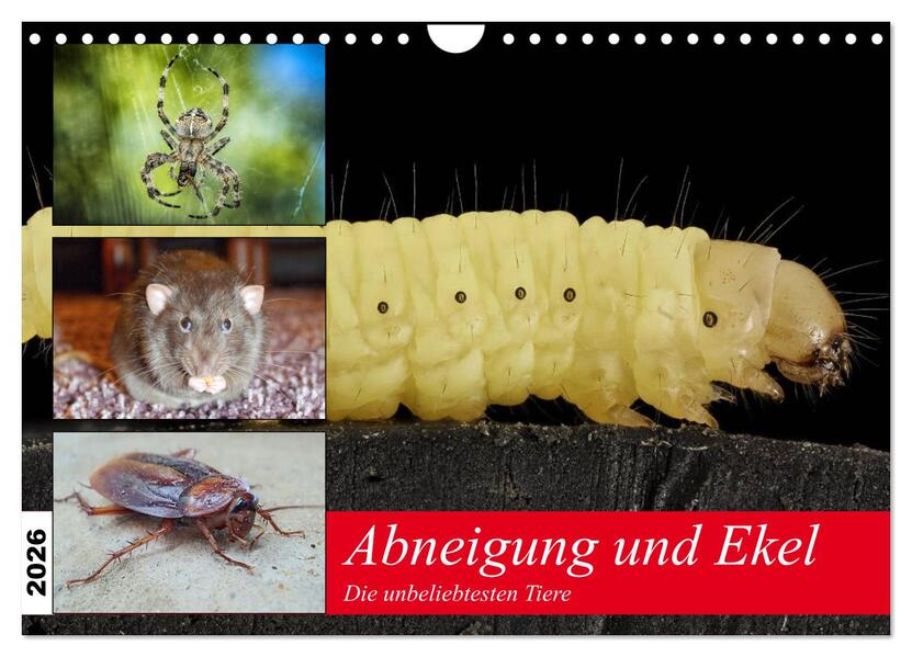 Abneigung und Ekel. Die unbeliebtesten Tiere (Wandkalender 2026 DIN A4 quer) CALVENDO Monatskalender