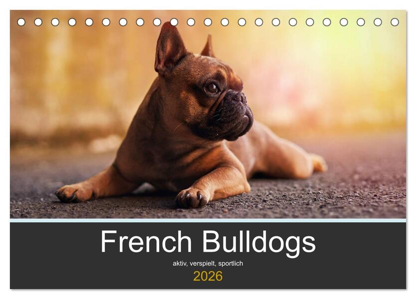 French Bulldog aktiv verspielt sportlich (Tischkalender 2026 DIN A5 quer) CALVENDO Monatskalender