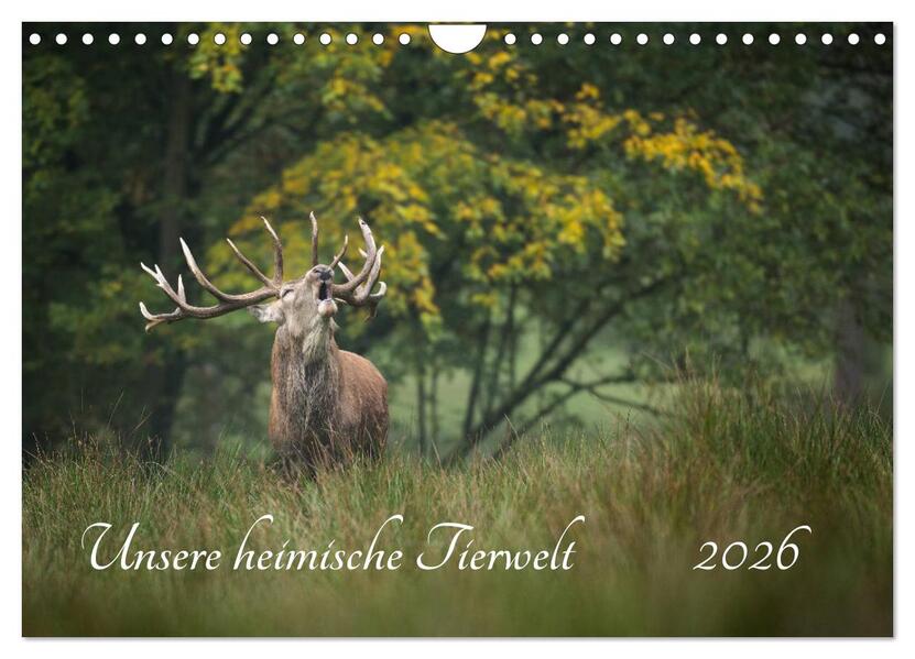 Unsere heimische Tierwelt (Wandkalender 2026 DIN A4 quer) CALVENDO Monatskalender