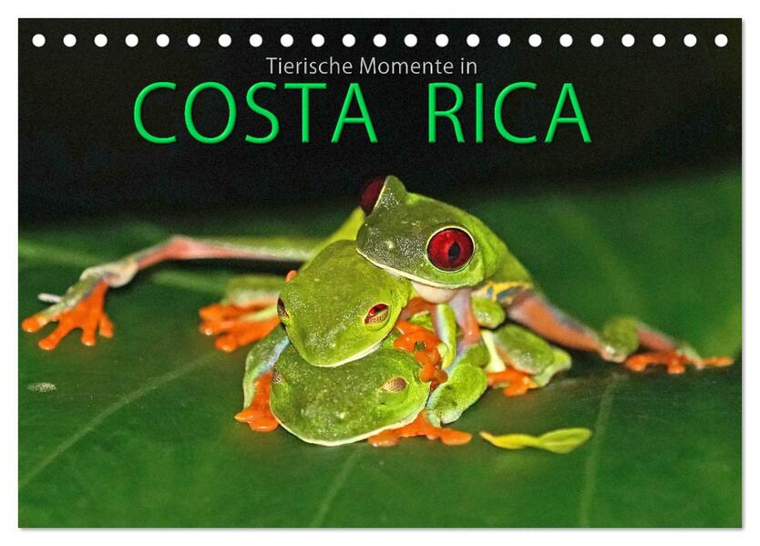 COSTA RICA - Tierische Momente (Tischkalender 2026 DIN A5 quer) CALVENDO Monatskalender