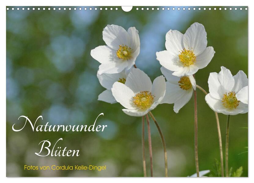 Naturwunder Blüten (Wandkalender 2026 DIN A3 quer) CALVENDO Monatskalender