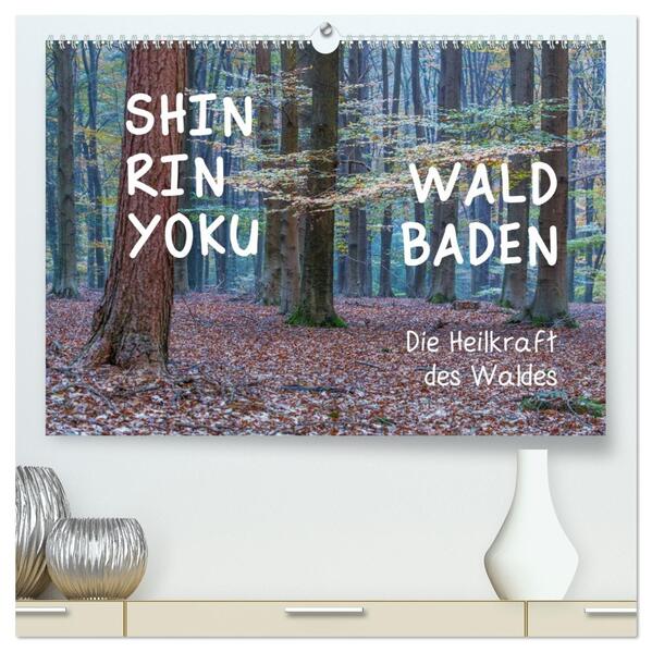 Shinrin yoku - Waldbaden 2026 (hochwertiger Premium Wandkalender 2026 DIN A2 quer) Kunstdruck in Hochglanz