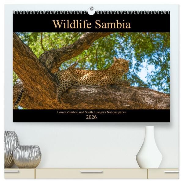 Wildlife Sambia (hochwertiger Premium Wandkalender 2026 DIN A2 quer) Kunstdruck in Hochglanz