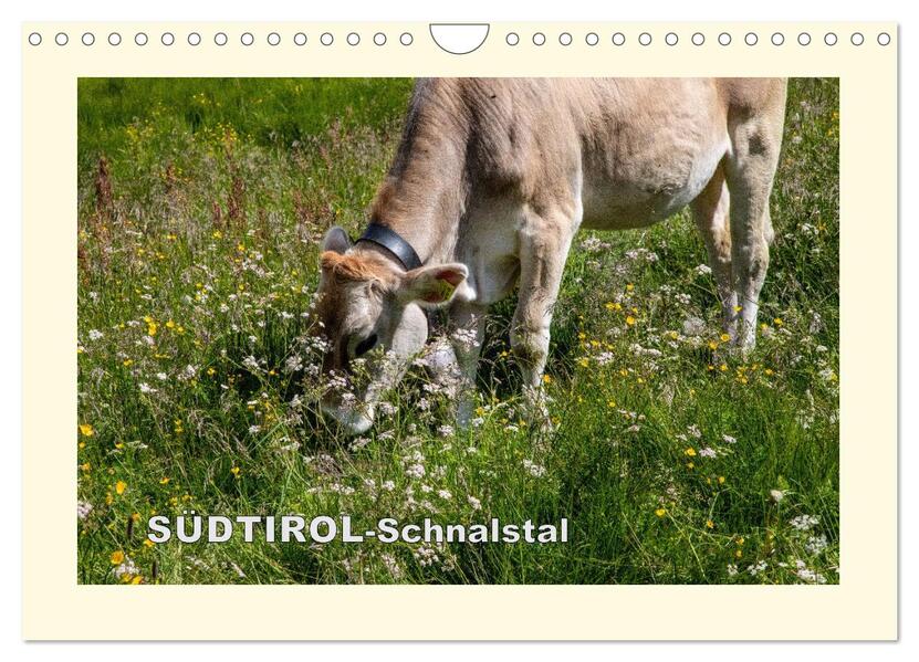 SÜDTIROL-Schnalstal (Wandkalender 2026 DIN A4 quer) CALVENDO Monatskalender