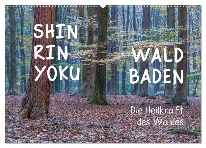 Shinrin yoku - Waldbaden 2026 (Wandkalender 2026 DIN A2 quer) CALVENDO Monatskalender