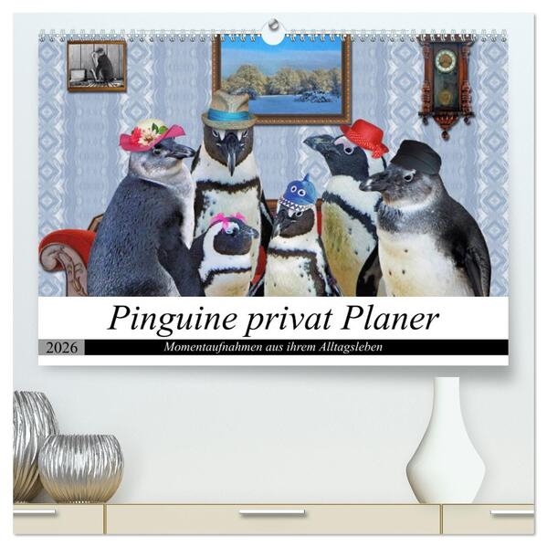 Pinguine privat Planer (hochwertiger Premium Wandkalender 2026 DIN A2 quer) Kunstdruck in Hochglanz