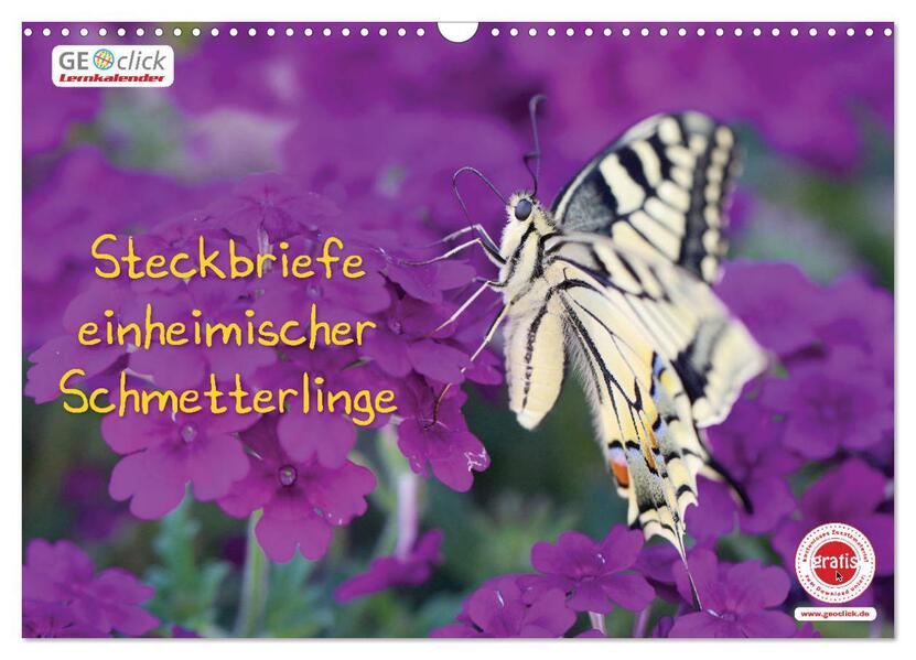 GEOclick Lernkalender: Steckbriefe einheimischer Schmetterlinge (Wandkalender 2026 DIN A3 quer) CALVENDO Monatskalender