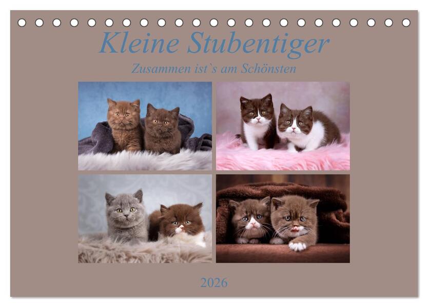 Kleine Stubenstiger (Tischkalender 2026 DIN A5 quer) CALVENDO Monatskalender