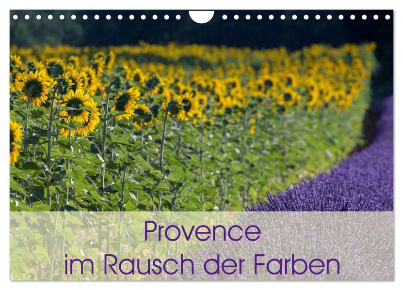 Provence im Rausch der Farben (Wandkalender 2026 DIN A4 quer) CALVENDO Monatskalender