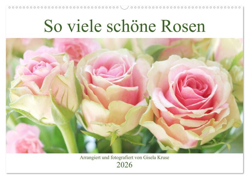 So viele schöne Rosen (Wandkalender 2026 DIN A2 quer) CALVENDO Monatskalender