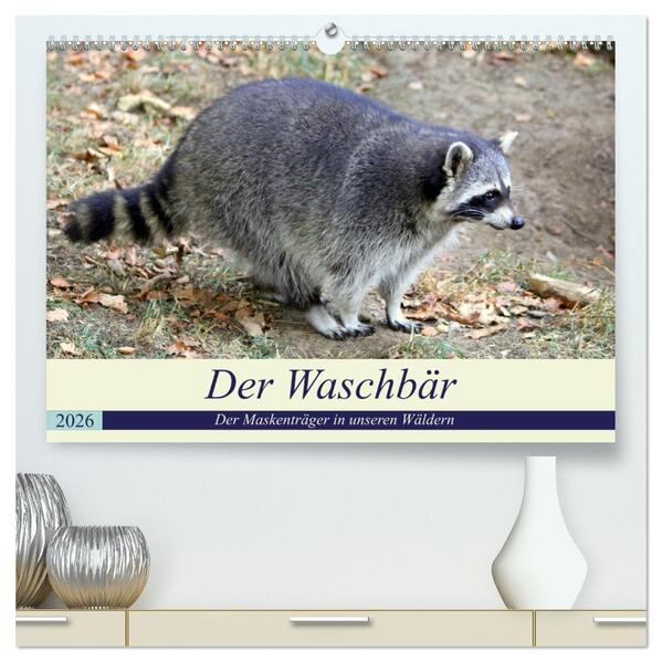 Der Waschbär - Der Maskenträger in unseren Wäldern (hochwertiger Premium Wandkalender 2026 DIN A2 quer) Kunstdruck in Hochglanz
