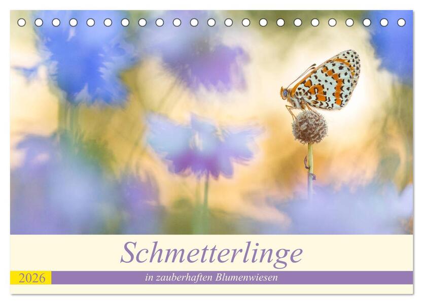 Schmetterlinge in zauberhaften Blumenwiesen (Tischkalender 2026 DIN A5 quer) CALVENDO Monatskalender