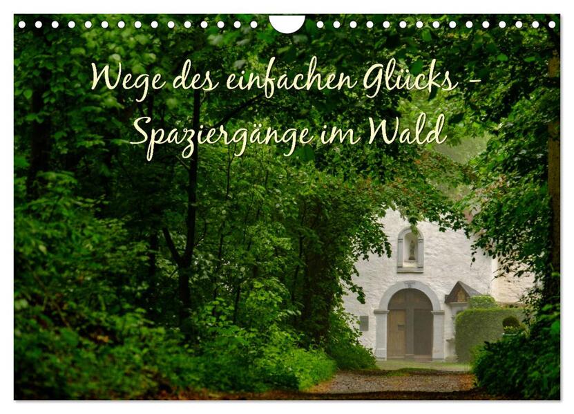 Wege des einfachen Glücks - Spaziergänge im Wald (Wandkalender 2026 DIN A4 quer) CALVENDO Monatskalender