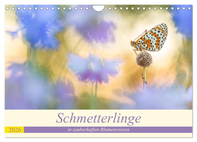 Schmetterlinge in zauberhaften Blumenwiesen (Wandkalender 2026 DIN A4 quer) CALVENDO Monatskalender
