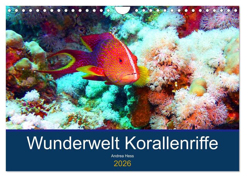 Wunderwelt Korallenriffe (Wandkalender 2026 DIN A4 quer) CALVENDO Monatskalender