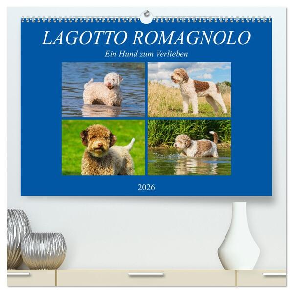 Lagotto Romagnolo - Ein Hund zum Verlieben (hochwertiger Premium Wandkalender 2026 DIN A2 quer) Kunstdruck in Hochglanz
