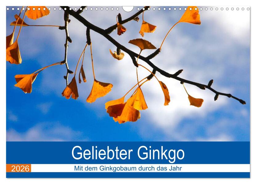 Geliebter Ginkgo (Wandkalender 2026 DIN A3 quer) CALVENDO Monatskalender