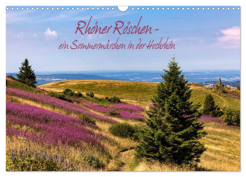 Rhöner Röschen - ein Sommermärchen in der Hochrhön (Wandkalender 2026 DIN A3 quer) CALVENDO Monatskalender