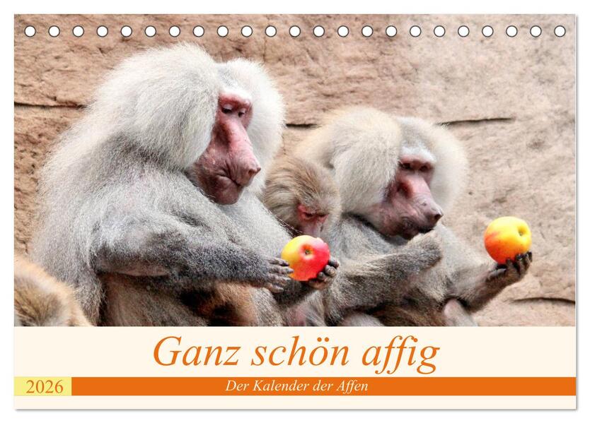 Ganz schön affig - Der Kalender der Affen (Tischkalender 2026 DIN A5 quer) CALVENDO Monatskalender