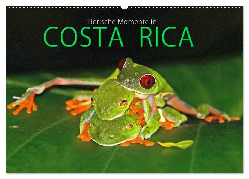 COSTA RICA - Tierische Momente (Wandkalender 2026 DIN A2 quer) CALVENDO Monatskalender