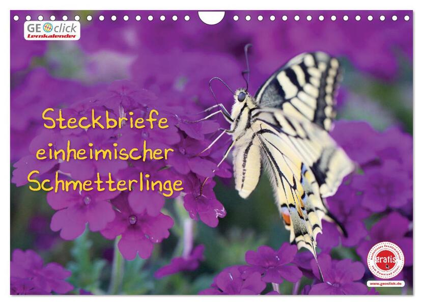 GEOclick Lernkalender: Steckbriefe einheimischer Schmetterlinge (Wandkalender 2026 DIN A4 quer) CALVENDO Monatskalender