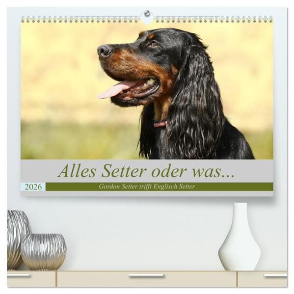 Alles Setter oder was (hochwertiger Premium Wandkalender 2026 DIN A2 quer) Kunstdruck in Hochglanz