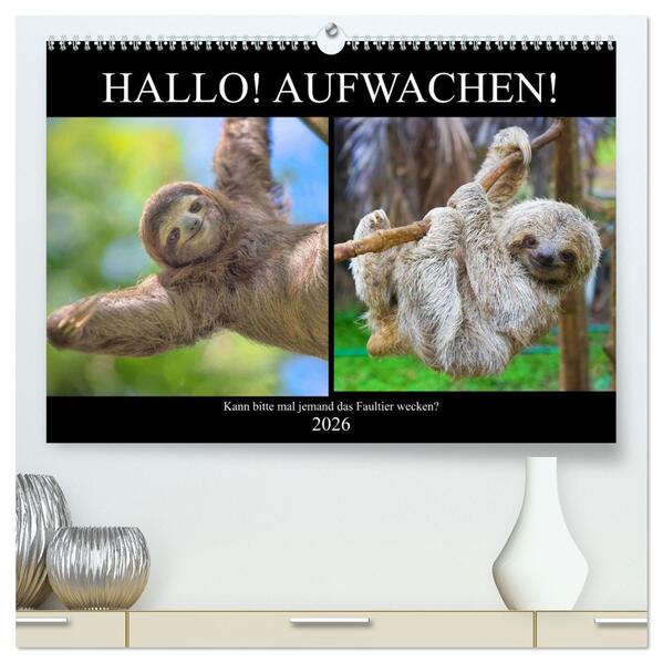 Hallo! Aufwachen! Kann bitte mal jemand das Faultier wecken? (hochwertiger Premium Wandkalender 2026 DIN A2 quer) Kunstdruck in Hochglanz