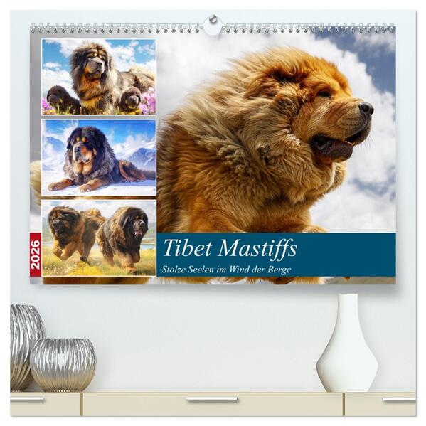 Tibet Mastiffs. Stolze Seelen im Wind der Berge (hochwertiger Premium Wandkalender 2026 DIN A2 quer) Kunstdruck in Hochglanz