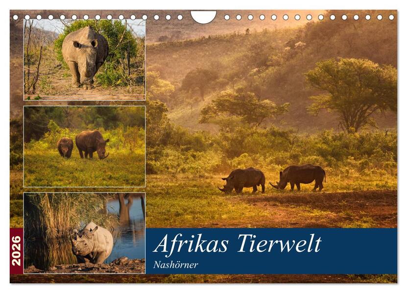 Afrikas Tierwelt: Nashörner (Wandkalender 2026 DIN A4 quer) CALVENDO Monatskalender