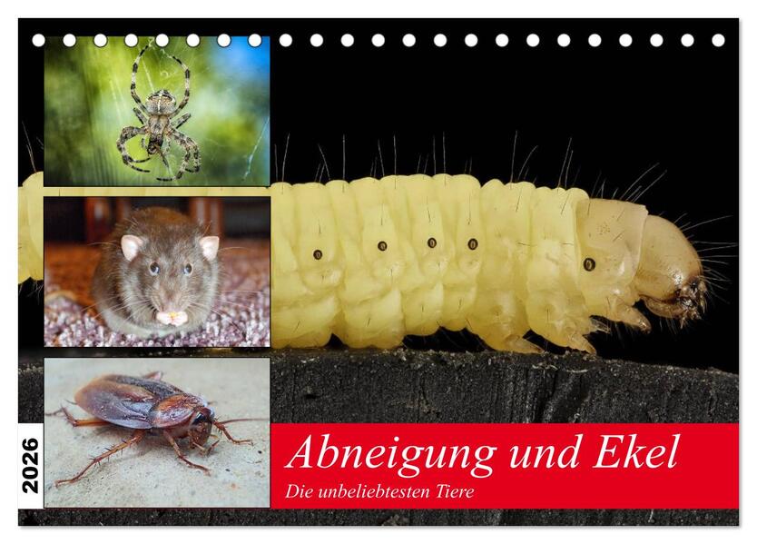 Abneigung und Ekel. Die unbeliebtesten Tiere (Tischkalender 2026 DIN A5 quer) CALVENDO Monatskalender