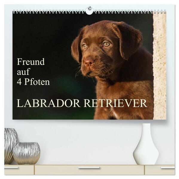 Freund auf 4 Pfoten - Labrador Retriever (hochwertiger Premium Wandkalender 2026 DIN A2 quer) Kunstdruck in Hochglanz